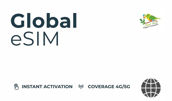 5GB Den Global Data for 3 days